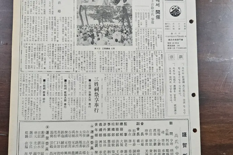고씨종보 5호